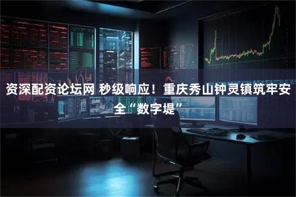资深配资论坛网 秒级响应！重庆秀山钟灵镇筑牢安全“数字堤”