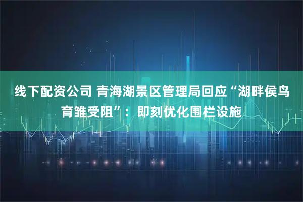 线下配资公司 青海湖景区管理局回应“湖畔侯鸟育雏受阻”：即刻优化围栏设施